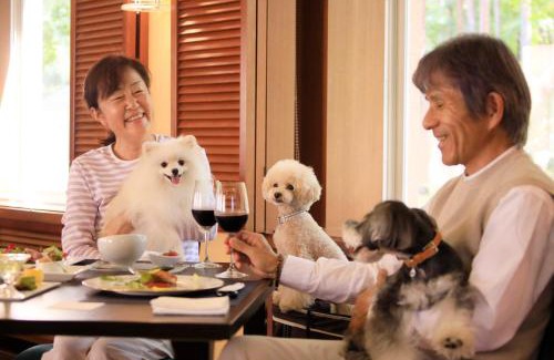 Chino Hotel | Yutorelo Tateshina Hotel with DOGS