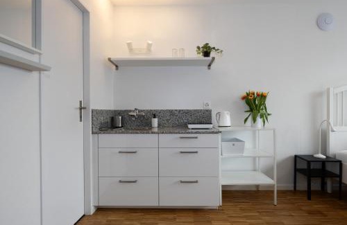 Hard Apartment | Zürich City Reizendes tiny Studio Albisriederplatz