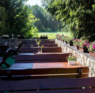 Glinojeck Hotel | Złota Rybka