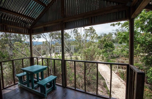 Die Barakke Cabin | Sleep Whiskers away from the Lions and " FEEL " them ROAR! Cabin 1