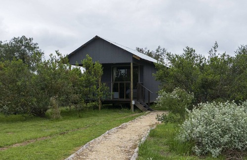 Die Barakke Cabin | Sleep Whiskers away from the Lions and " FEEL " them ROAR! Cabin 2