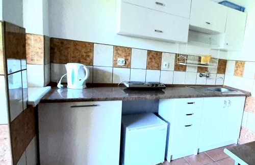 Wicie House | Zacisze Apartamenty,Pokoje