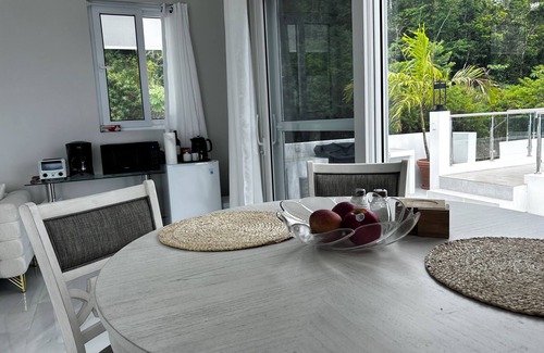 Road Town Villa | Zafira Luxe 1-bedroom villa with sauna, steam, sunset views, AC, WIFI in Tortola