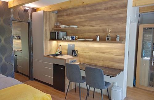 Hradec Kralove Apartment | Zahradní studio Vila Věkoše