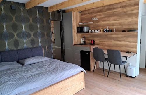 Hradec Kralove Apartment | Zahradní studio Vila Věkoše