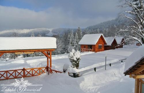 Przyborow Ski Chalet | Zakątek DZIEWIĘĆSIŁ