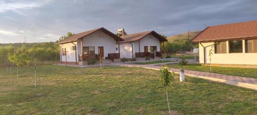 Peceneaga House | Zander House