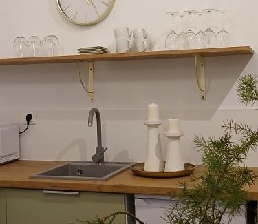 Kierwik Apartment | Zapach lasu Naturalne SPA Karwica, sauna, joga A208