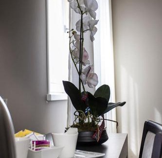 Suzzara Bed & Breakfast | Zara Rooms & Suites
