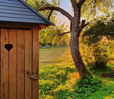 Limbazi Municipality Other | Zemnieku saimniecība Paldaži