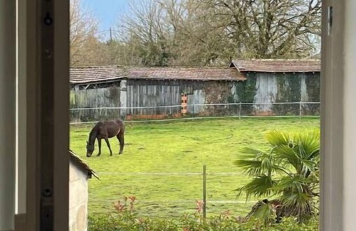 Saint-Mariens House | Zen and Tranquil house in the countryside but 30 minutes from BORDEAUX