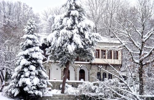 Grevena Villa | Zenios Dionysos - Traditional villa