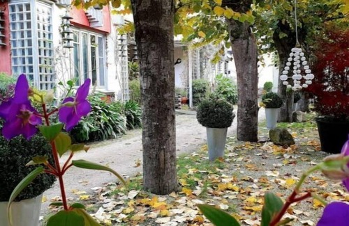 Meruja Apartment | zentralclub apartment watt- jacuzzi