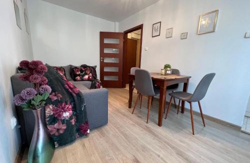 Zgierz Apartment | Zgierz Parzęczewska District