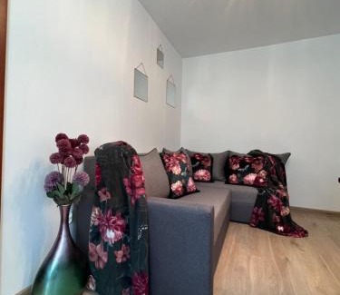 Zgierz Apartment | Zgierz Parzęczewska District