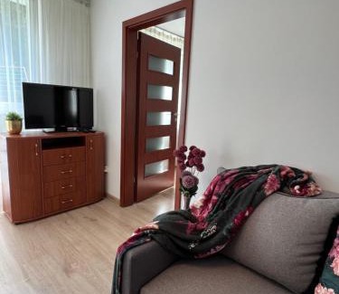 Zgierz Apartment | Zgierz Parzęczewska District
