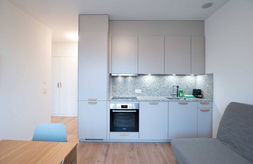 Center Apartment | ZH Green 3 - Letzigrund HITrental Apartment