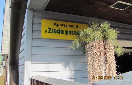 Kraslava Apartment | Ziedu pasaule