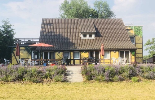 Feldberger Seenlandschaft Apartment | Zimmer 2 Großer Haussee - Waldmaries Ferienhaus