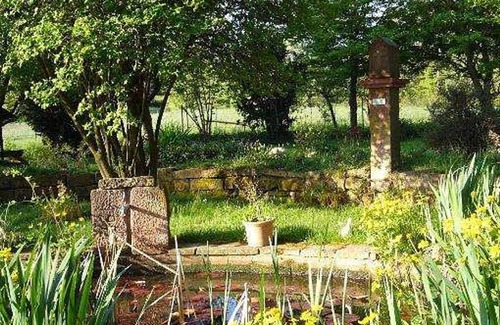 Beuchen Cottage | Zimmer 3 - Gasthaus-pension Zum Brandweiher