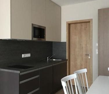 Dolni Morava Apartment | Zlatý Apartmán