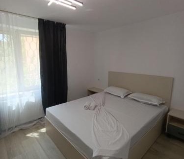 Suceava Apartment | Zlata Bucovina Apartment