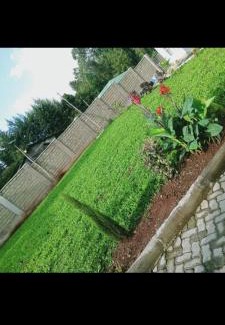 Kericho Apartment | Zoe Homes Greypoint 1 bedroom apartment 301