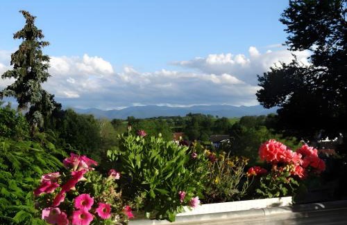 Waltershofen Apartment | Zum Rebberg Ferienwohnungen