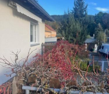 Berga/Elster Apartment | Zur Elster Landruhe Berga