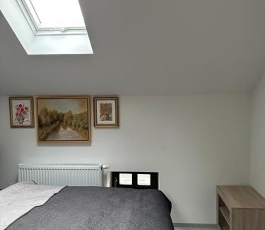 Oelsnitz Apartment | Zwillinge Ferienwohnung am Markt