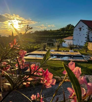 Škerlj Wine Estate