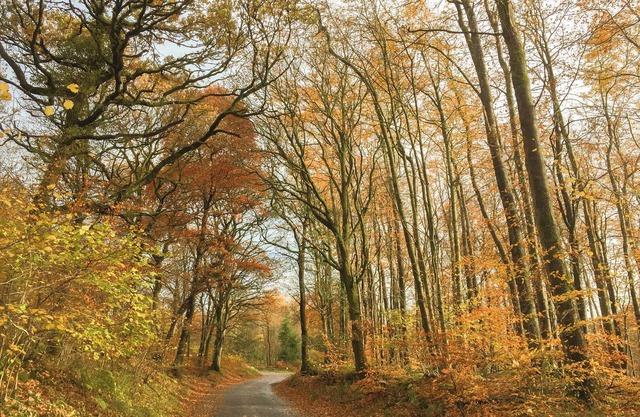 1 bedroom accommodation in Bassenthwaite