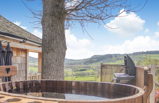 1 bedroom accommodation in Llangyniew