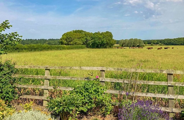 1 bedroom accommodation in Gautby