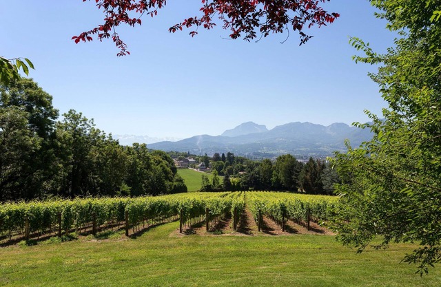10 mins de Chambéry ! Chateau, Piscine, Fitness