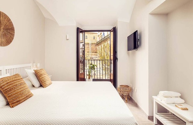 103 Roomy Plaza - Apartments Plaza Mayor 35