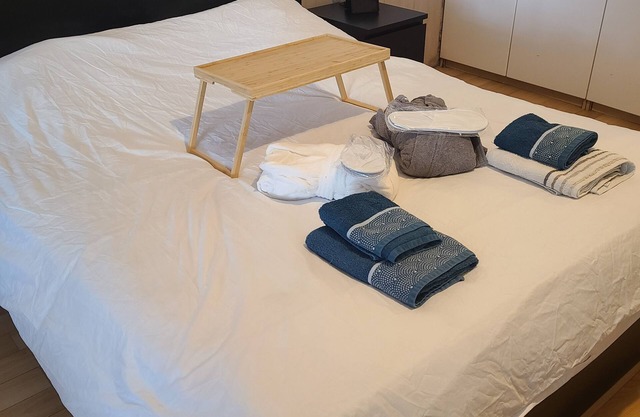 130 m2 loft with spa and billiards in the heart of BREST
