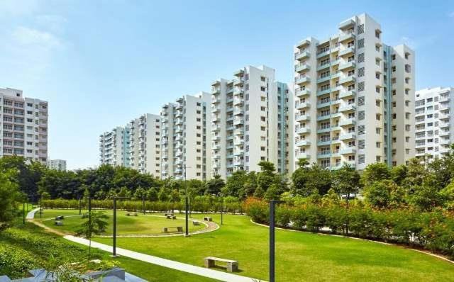 1BR Apartment Parel