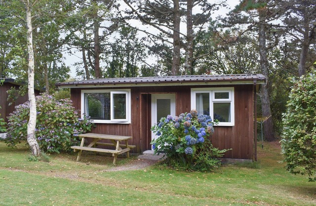 2 bedroom accommodation in Mount Hawke, near Redruth