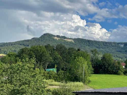 3,5-Zimmer, geräumige und wunderschöne Ferienwohnung in Balingen