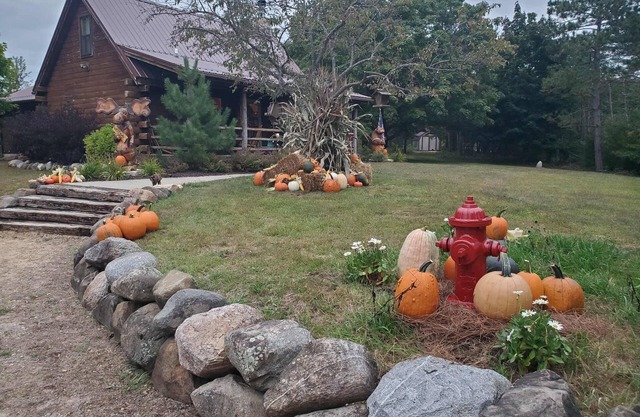 3 BR Cabin on 80 Acres with Hiking, ATV, Horse Trails WiFi, AC, Fishing Pond