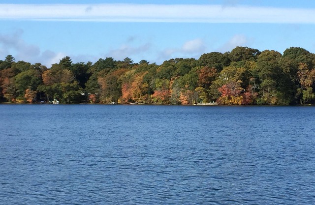 4+ Acre Pond Front Retreat, Basketball Court