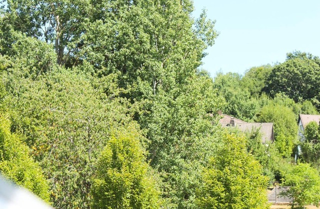4-bed vacation apartment "zur Dietzenley" - Holiday apartment Gerolstein