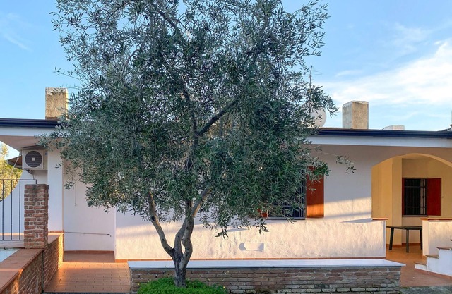 5 bedroom pet friendly home in Vieste