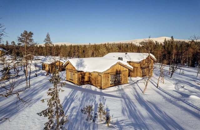 A beautiful mountain house with many beds.