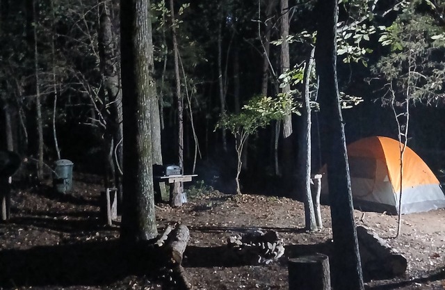 A crackling campfire, a creek & deer outside your tent & we have a nature trail!