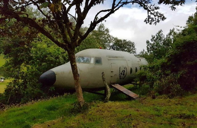 A different experience in a plane lost in the Colombian forest