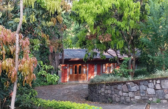 A forest stay, one sip at a time! Warm hospitality in a calm and serene setting.