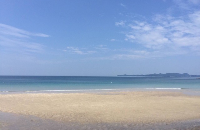A guesthouse in front of the beach the whole hous/Izumigun Kagoshima