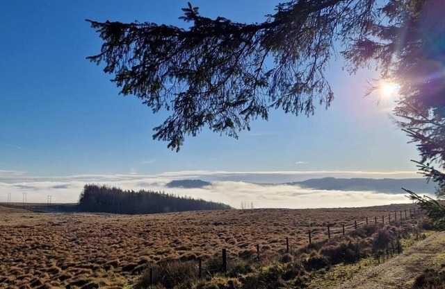 A Perfect 1BD Getaway in Aberdare, South Wales